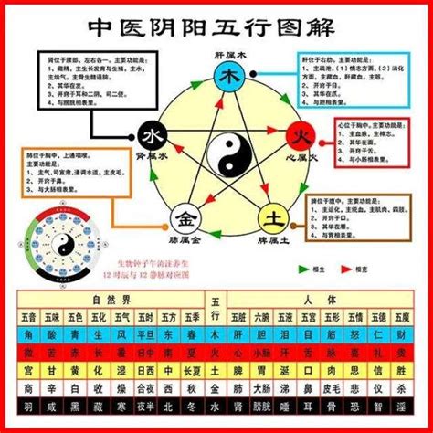 中醫五行|中醫五行:基本概念,五行屬性及歸類,五行屬性歸類,五行。